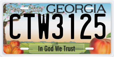 GA license plate CTW3125