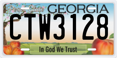 GA license plate CTW3128