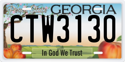 GA license plate CTW3130
