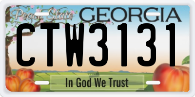 GA license plate CTW3131