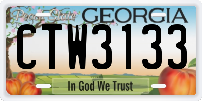 GA license plate CTW3133