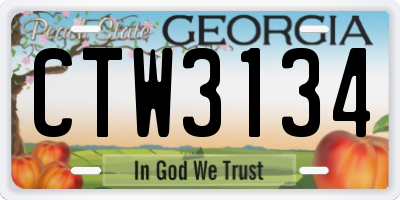 GA license plate CTW3134