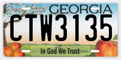 GA license plate CTW3135