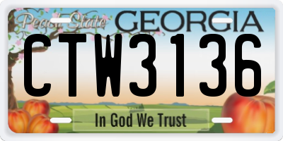 GA license plate CTW3136