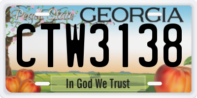 GA license plate CTW3138
