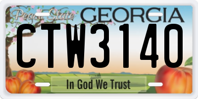GA license plate CTW3140