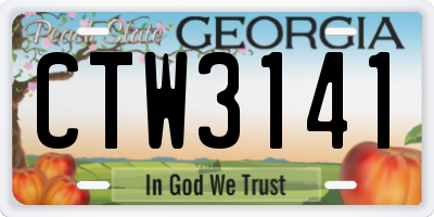 GA license plate CTW3141