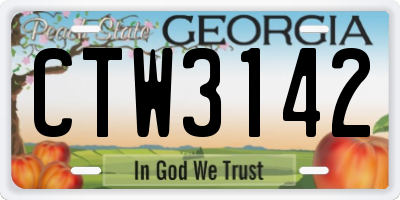 GA license plate CTW3142