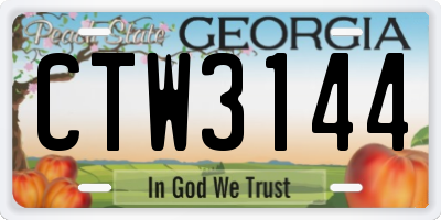 GA license plate CTW3144