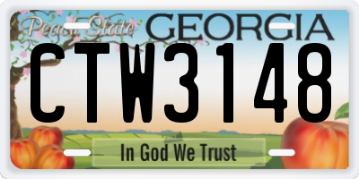 GA license plate CTW3148