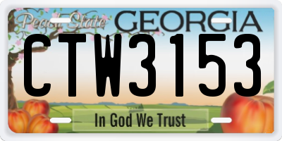 GA license plate CTW3153