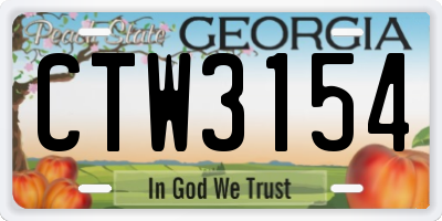 GA license plate CTW3154