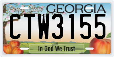 GA license plate CTW3155