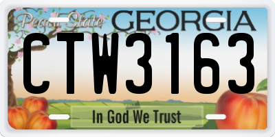 GA license plate CTW3163