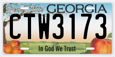 GA license plate CTW3173