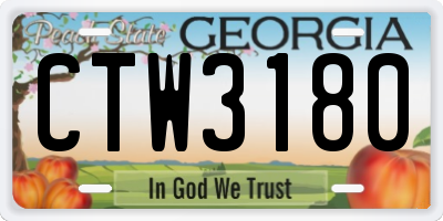 GA license plate CTW3180