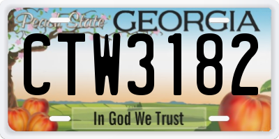 GA license plate CTW3182