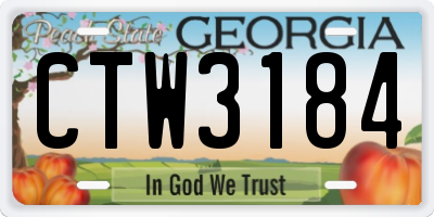 GA license plate CTW3184