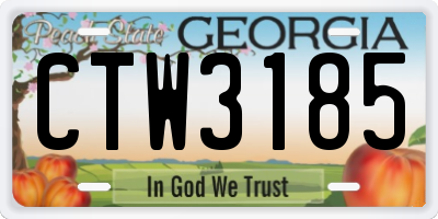 GA license plate CTW3185