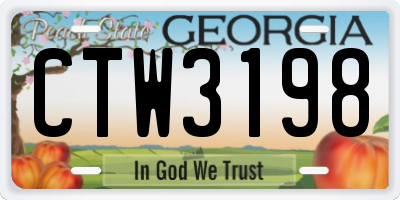 GA license plate CTW3198