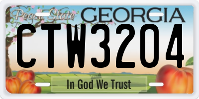 GA license plate CTW3204