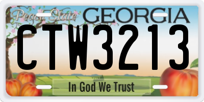 GA license plate CTW3213