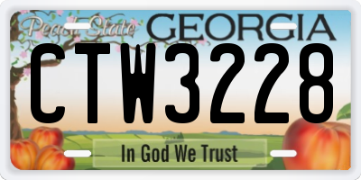 GA license plate CTW3228
