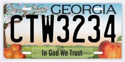 GA license plate CTW3234