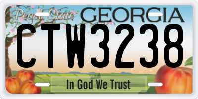 GA license plate CTW3238