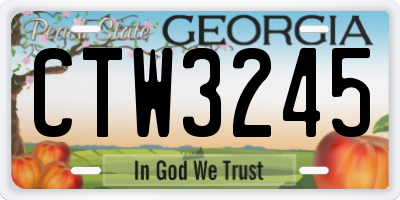 GA license plate CTW3245