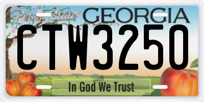 GA license plate CTW3250