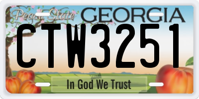 GA license plate CTW3251