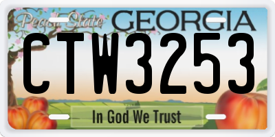 GA license plate CTW3253
