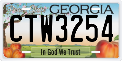 GA license plate CTW3254