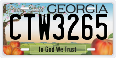 GA license plate CTW3265