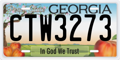 GA license plate CTW3273