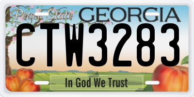 GA license plate CTW3283