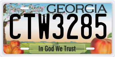 GA license plate CTW3285