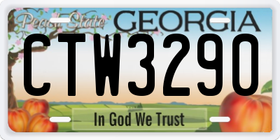 GA license plate CTW3290