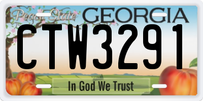 GA license plate CTW3291