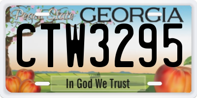 GA license plate CTW3295