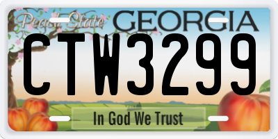 GA license plate CTW3299