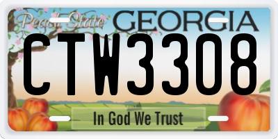 GA license plate CTW3308