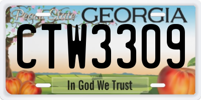 GA license plate CTW3309