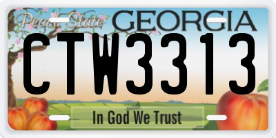 GA license plate CTW3313
