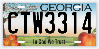 GA license plate CTW3314