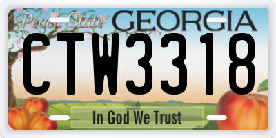 GA license plate CTW3318