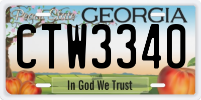 GA license plate CTW3340