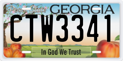 GA license plate CTW3341
