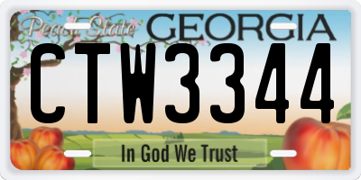 GA license plate CTW3344